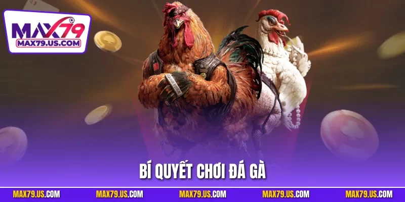 Bí quyết Chơi Đá Gà