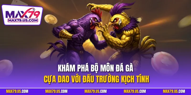 Khám phá bộ môn đá gà cựa dao với đấu trường kịch tính