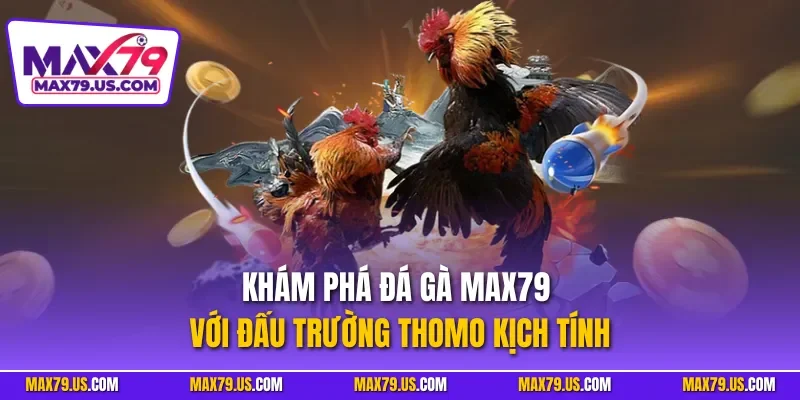 Khám phá đá gà MAX79 với đấu trường Thomo kịch tính