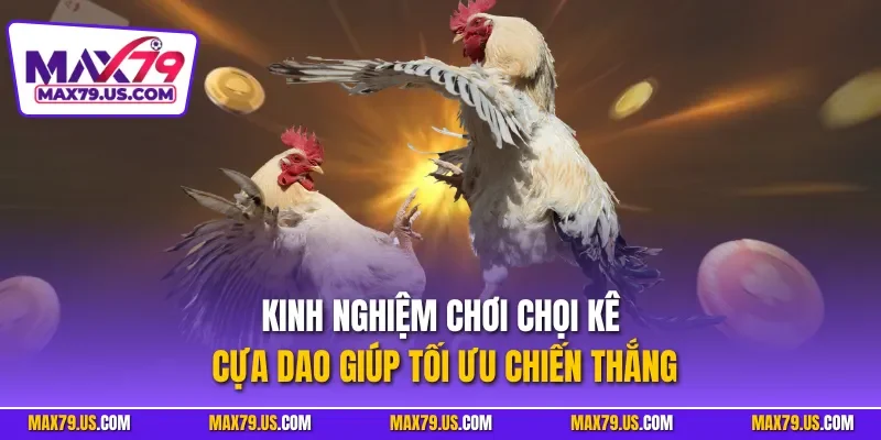 Kinh nghiệm chơi chọi kê cựa dao giúp tối ưu chiến thắng