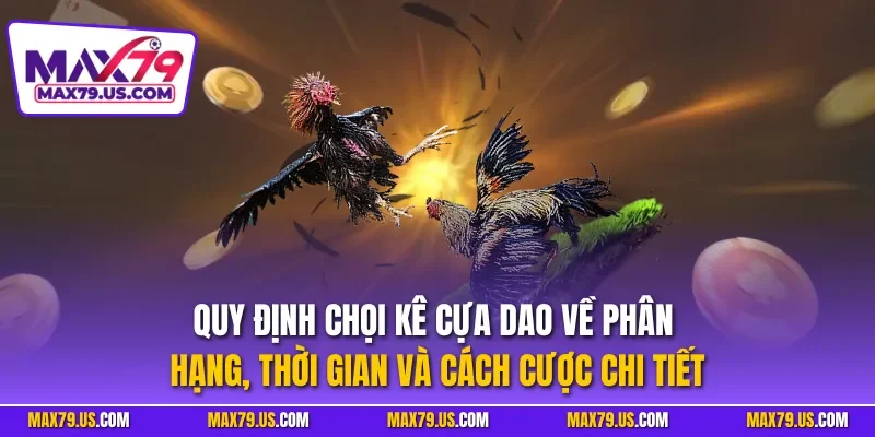 Quy định chọi kê cựa dao về phân hạng, thời gian và cách cược chi tiết
