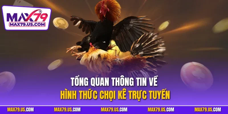Tổng quan thông tin về hình thức chọi kê trực tuyến